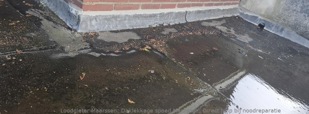 Daklekkage Spoed Maarssen