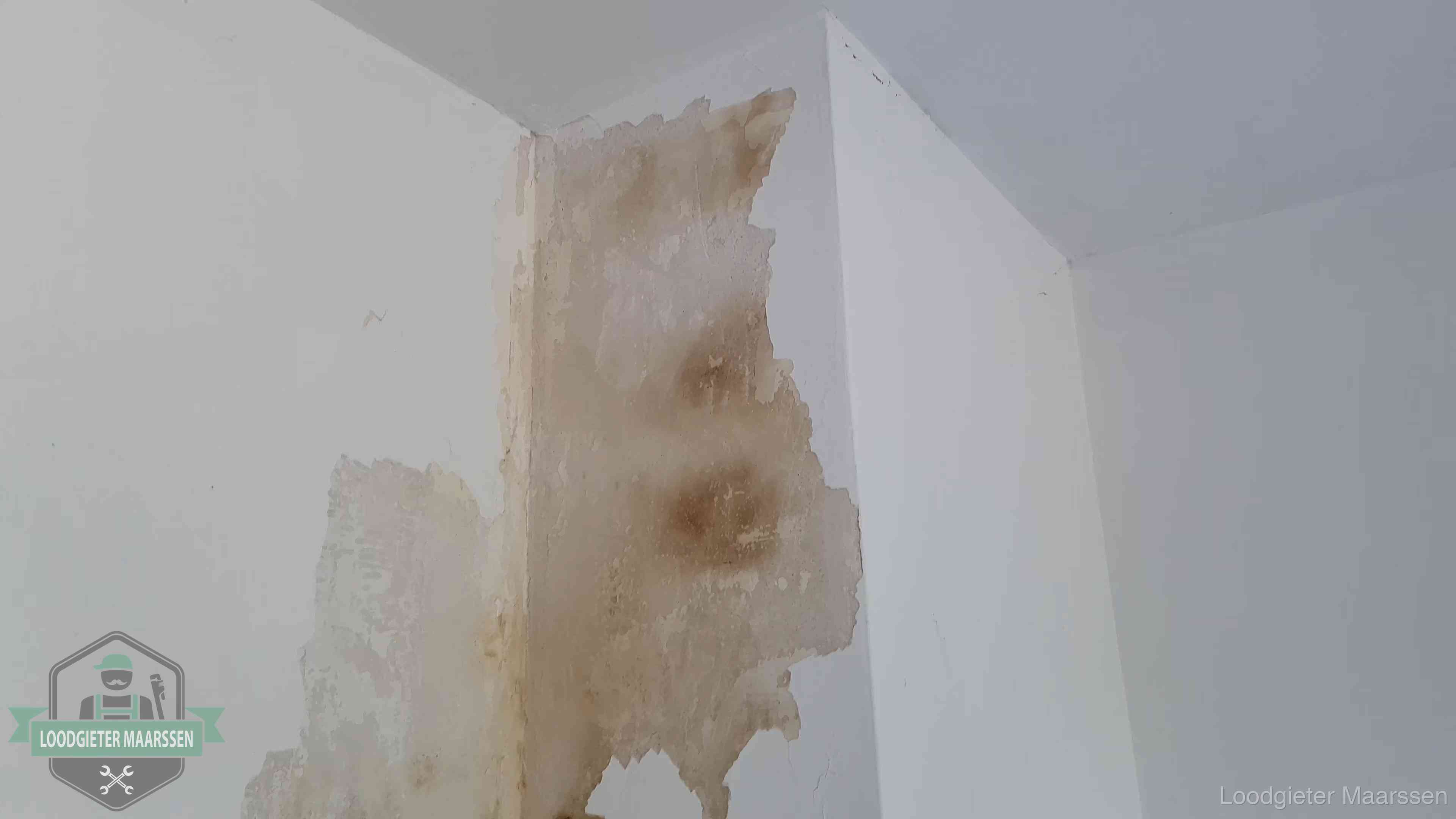 Daklekkage herkennen in Maarssen Bruine vochtkringen en afbladderend stucwerk op een binnenmuur in Maarssen, een eerste teken van daklekkage