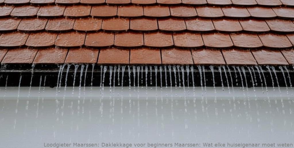 Daklekkage Voor Beginners Maarssen