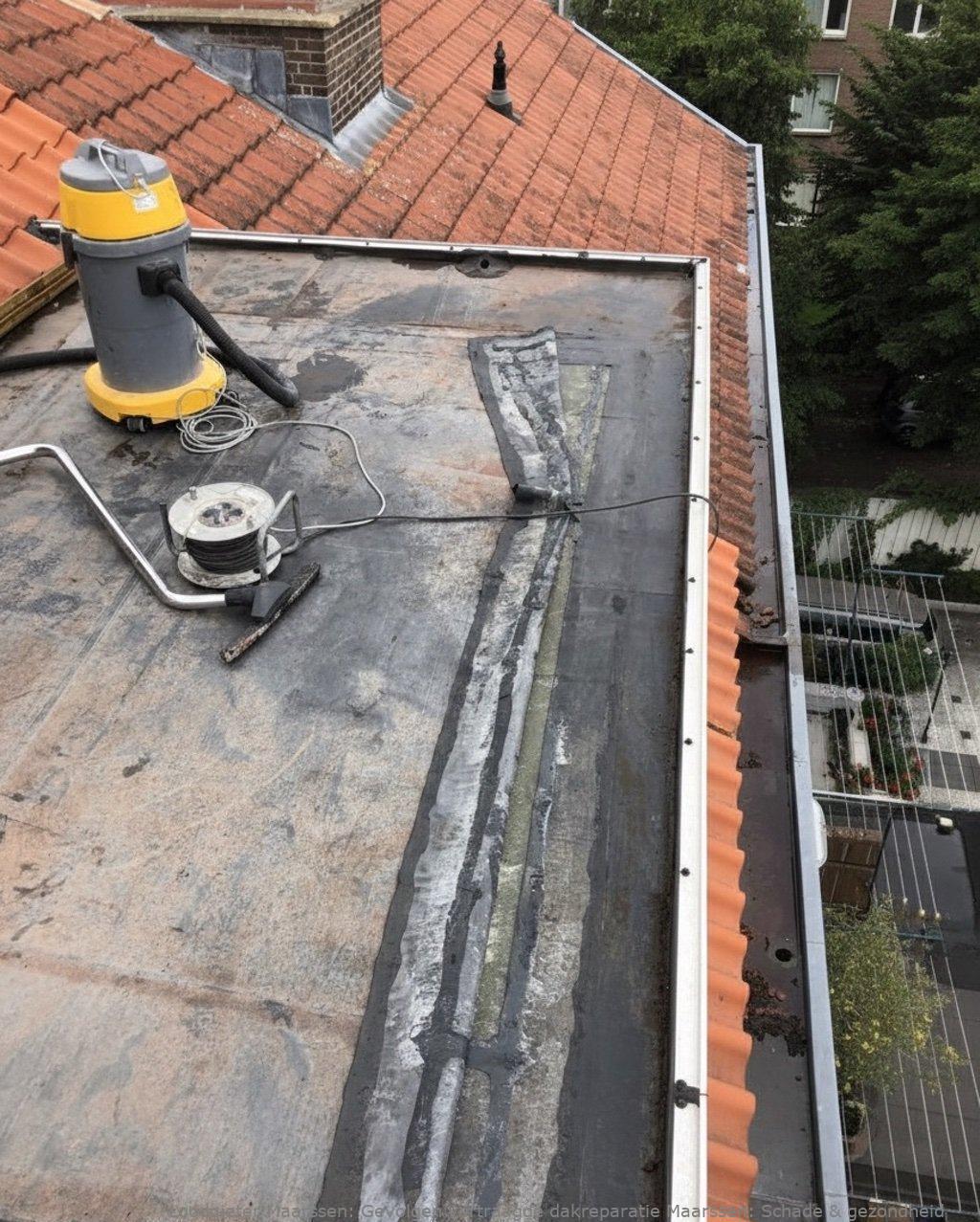 Gevolgen Vertraagde Dakreparatie Maarssen