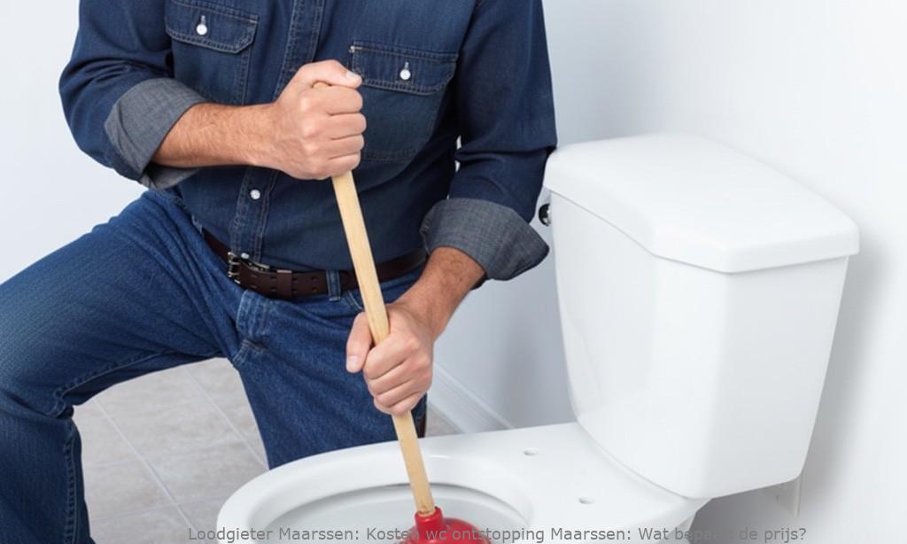 Kosten Wc Ontstopping Maarssen