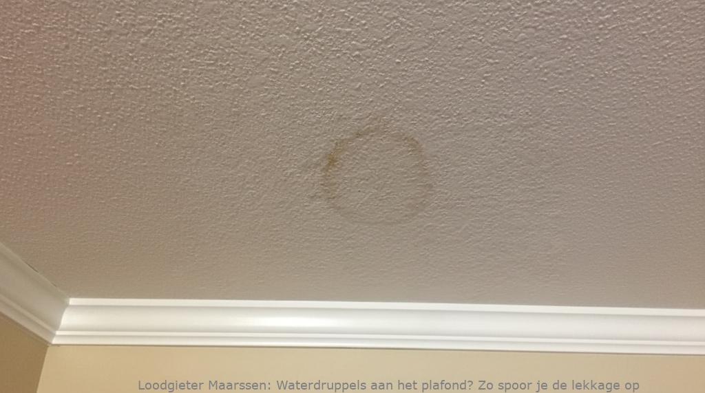 Lekkage Plafond Maarssen