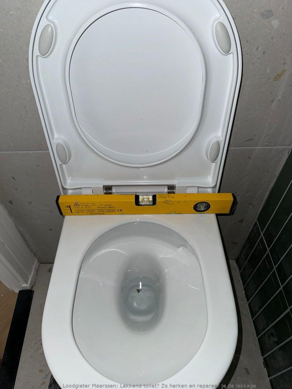 Lekkage Toilet Maarssen