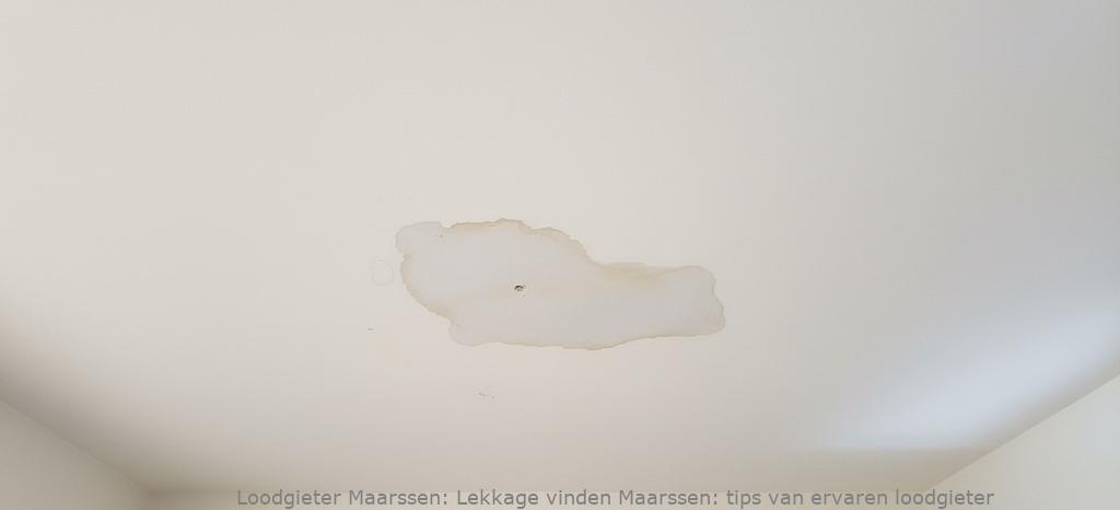 Lekkage Vinden Maarssen