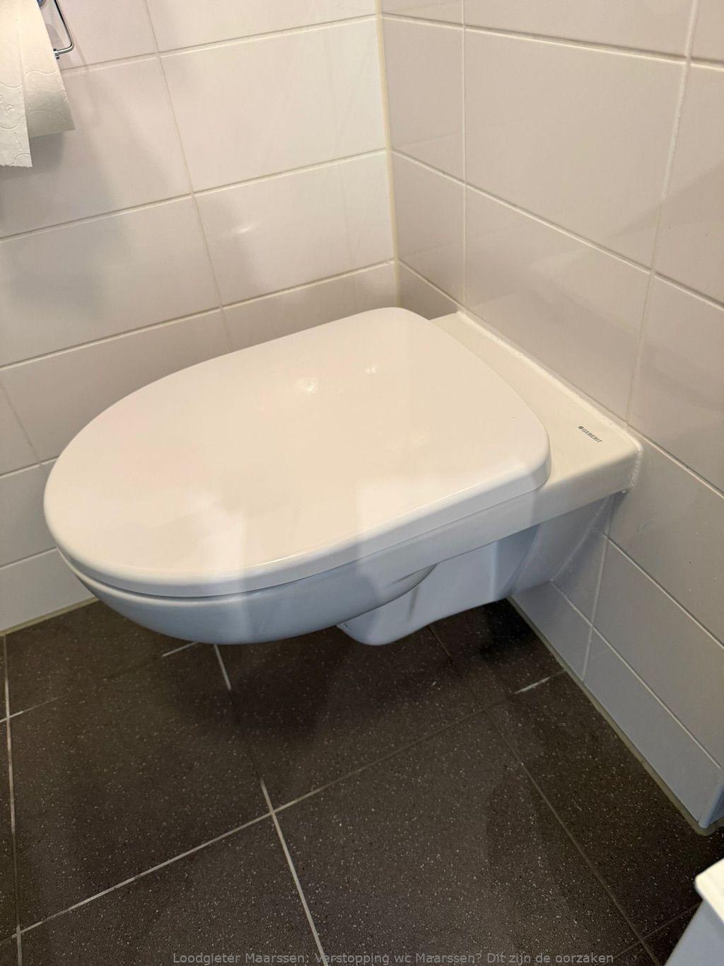 Tips Wc Verstopping Voorkomen Maarssen
