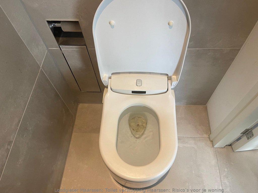 Toilet Verstopping Maarssen