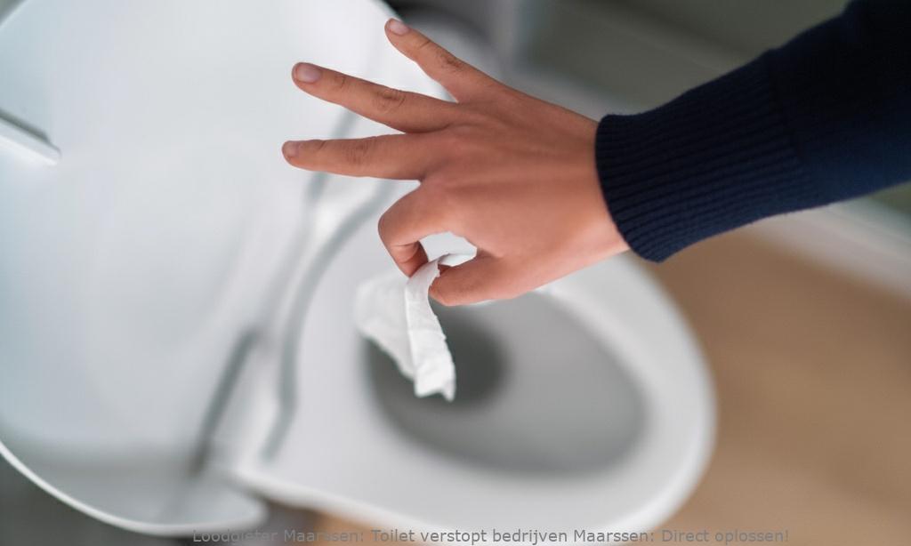 Toilet Verstopt Bedrijven Maarssen