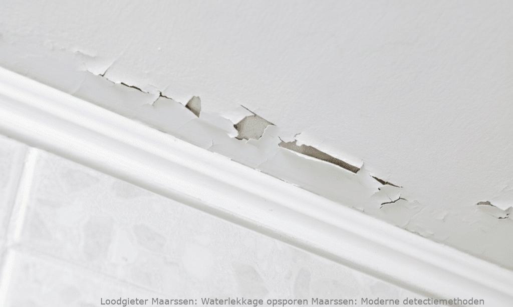 Waterlekkage Opsporen Maarssen